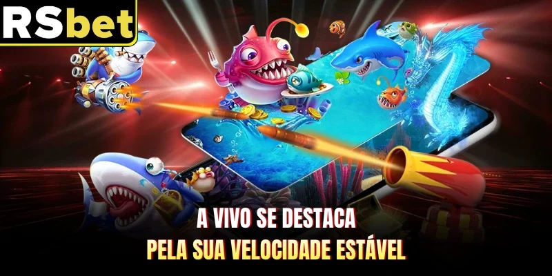 A Vivo se destaca pela sua velocidade estável